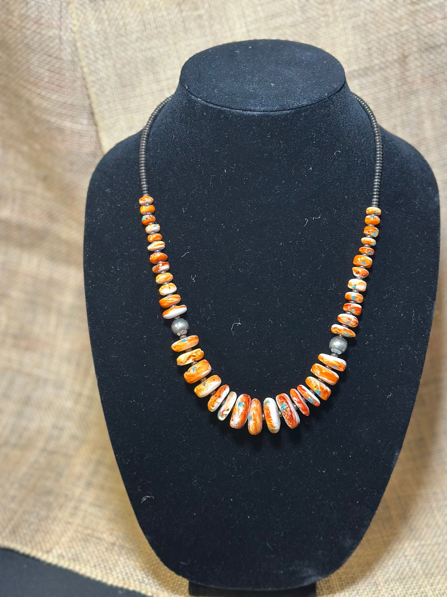 22 Inch orange spiny, turquoise and sterling silver pearls