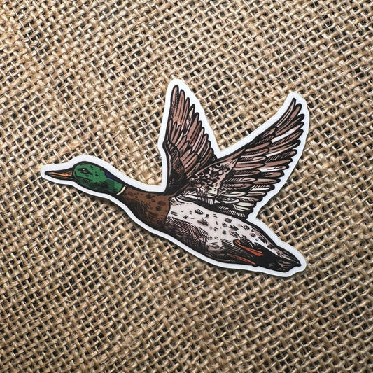 MALLARD DUCK STICKER