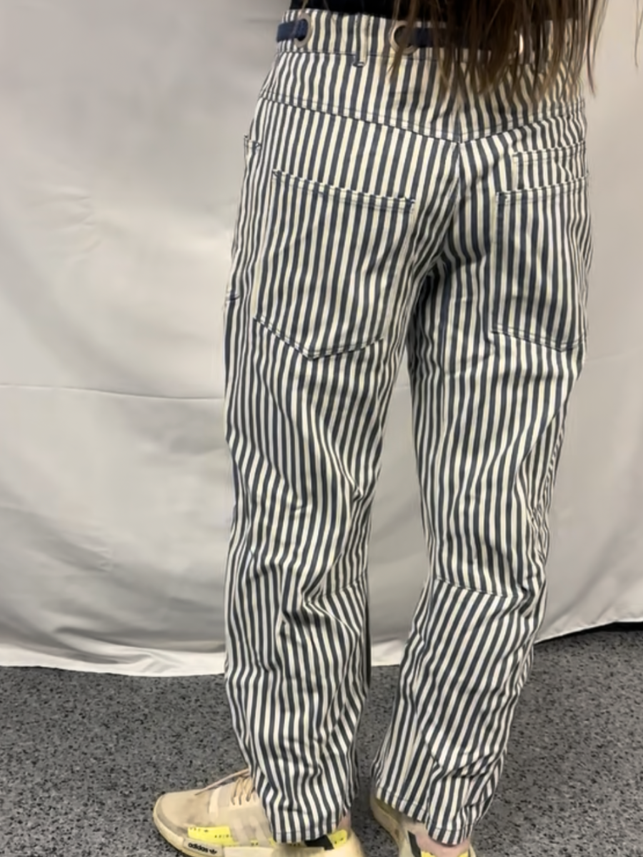 Striped Twill Barrel Pants