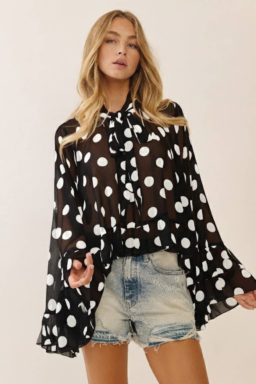 Polka Dot Sheer Chiffon Ruffle Blouse