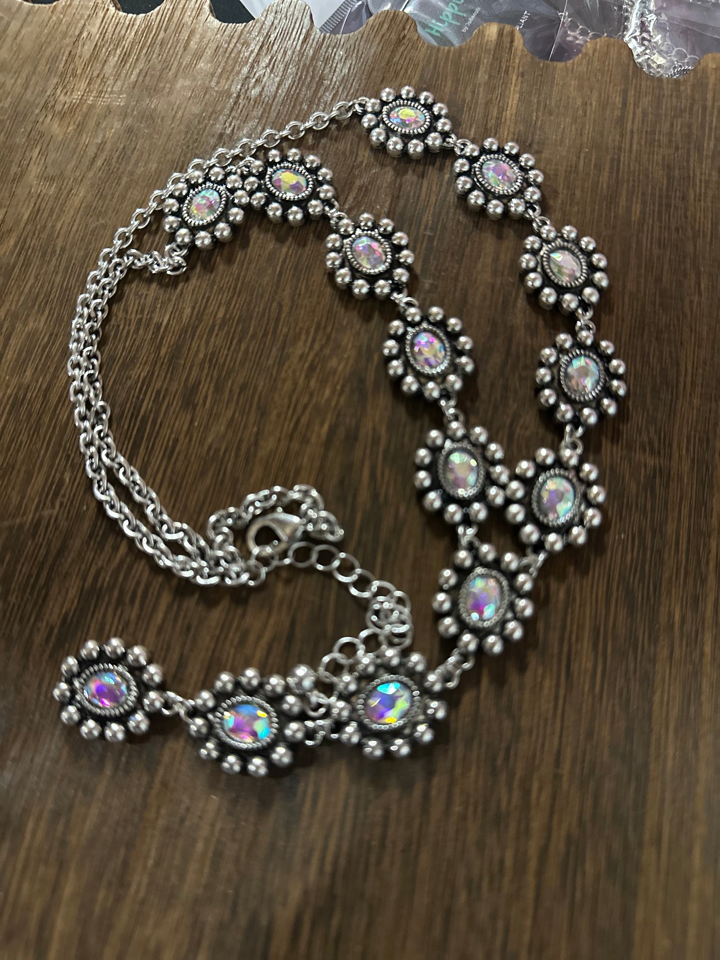 Western Concho Stone Y Necklace