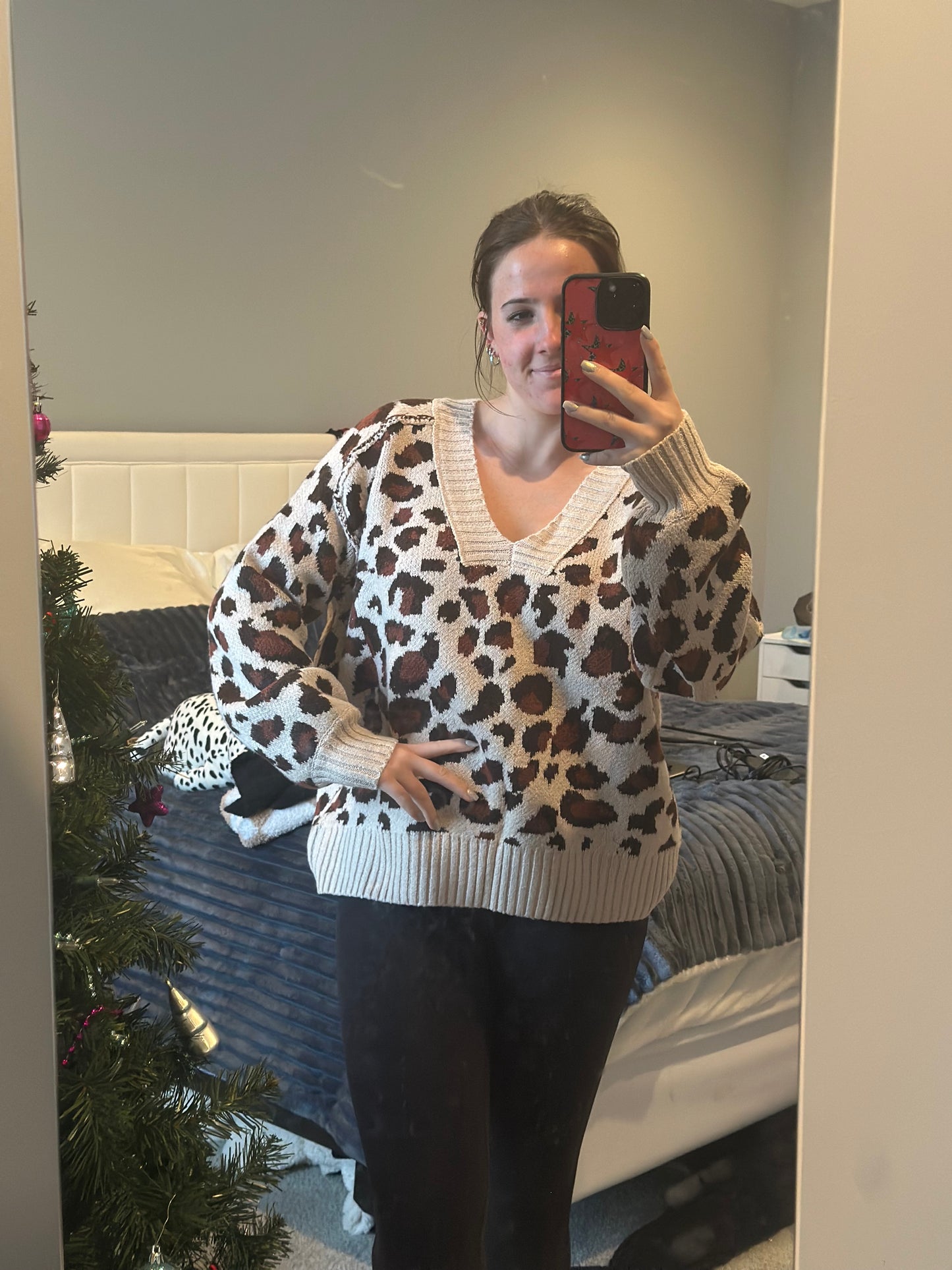 Leopard Pattern Rib Banded V-neck Sweater Top