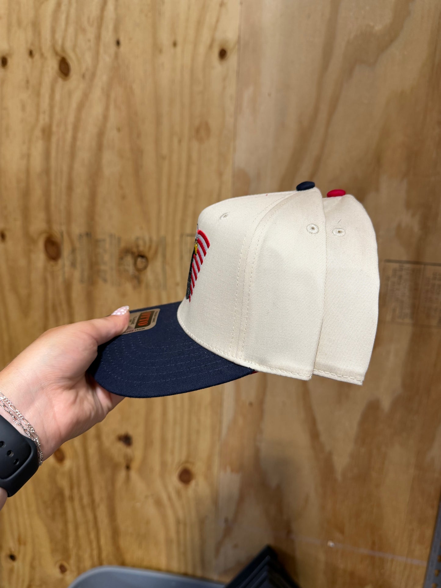 USA Eagle Flag Hat