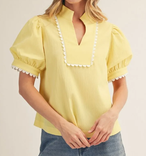 Puff Sleeve Crinle Fabric Blouse