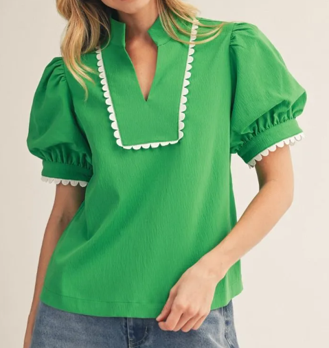 Puff Sleeve Crinle Fabric Blouse
